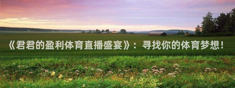 833足球比赛免费直播：《君君的盈利体育直播盛宴》：寻找你的体育梦想！