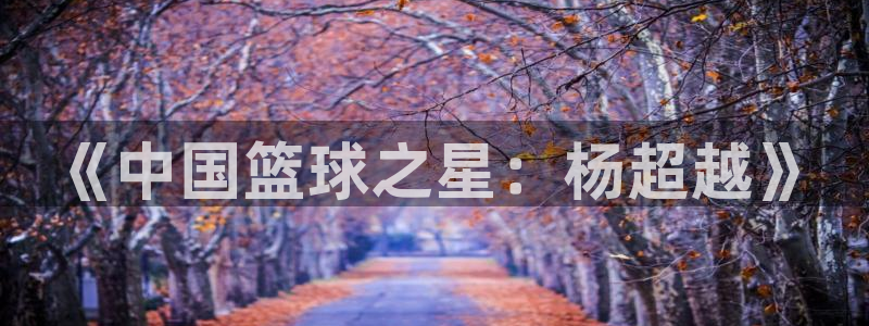 833直播足球比赛在线观看下载：《中国篮球之星：杨超越》
