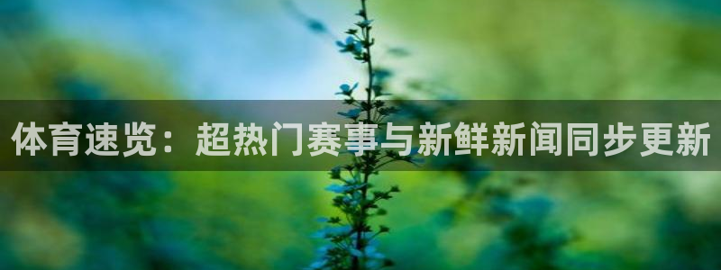 833足球直播免费观看：体育速览：超热门赛事与新鲜新闻同步更新