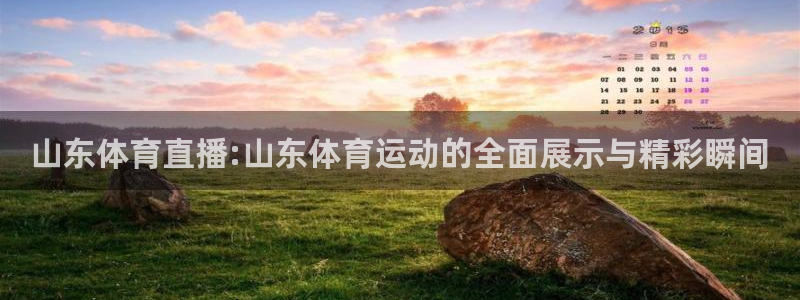 833足球比赛直播免费观看：山东体育直播:山东体育运动的全面展示与精彩瞬间