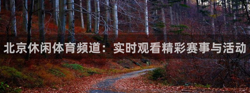 833直播nba：北京休闲体育频道：实时观看精彩赛事与活动