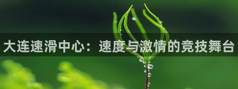 833体育直播：大连速滑中心：速度与激情的竞技舞台