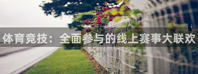 球帝带833赛事直播：体育竞技：全面参与的线上赛事大联欢