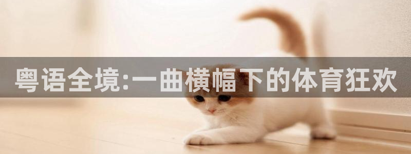 833直播体育免费观看入口：粤语全境:一曲横幅下的体育狂欢