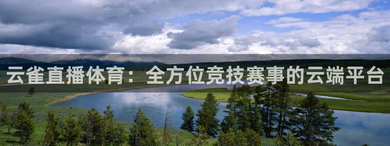 833体育赛事直播：云雀直播体育：全方位竞技赛事的云端平台