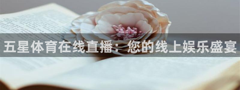 833直播足球免费观看：五星体育在线直播：您的线上娱乐盛宴