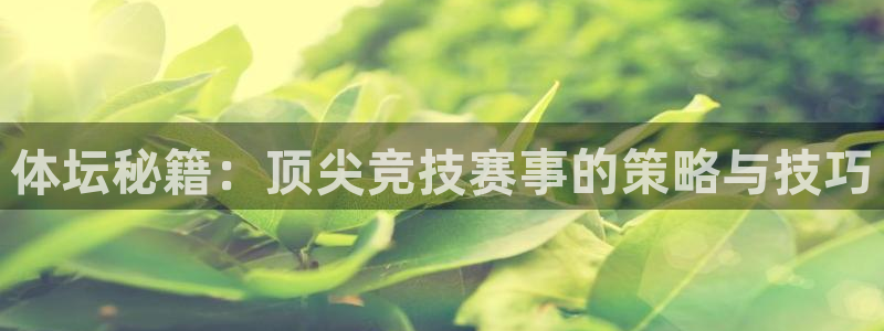 833直播足球比赛在线观看下载：体坛秘籍：顶尖竞技赛事的策略与技巧