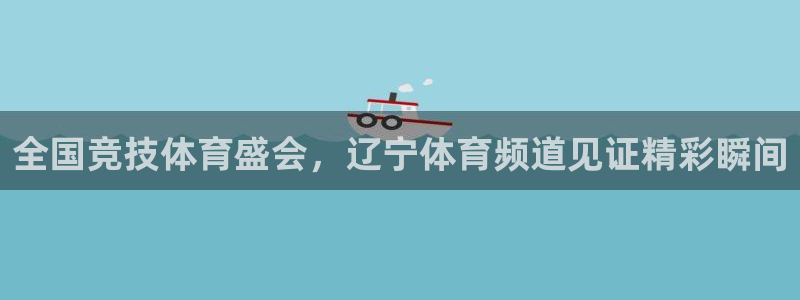 833足球赛事直播：全国竞技体育盛会，辽宁体育频道见证精彩瞬间