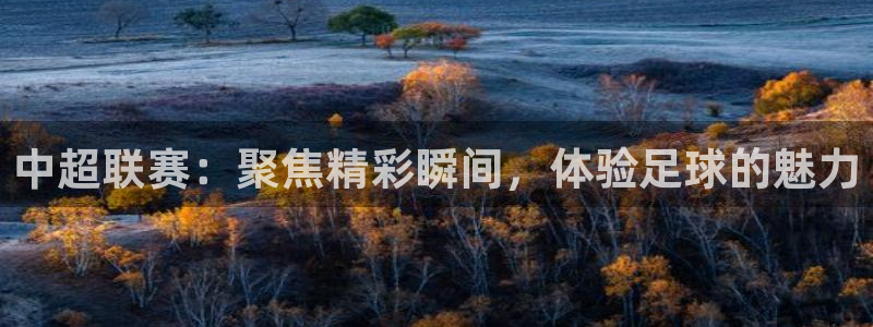 833体育免费直播：中超联赛：聚焦精彩瞬间，体验足球的魅力