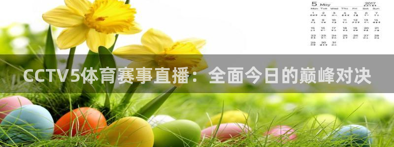 833体育直播免费观看：CCTV5体育赛事直播：全面今日的巅峰对决