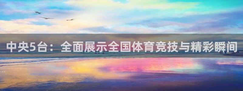 833直播：中央5台：全面展示全国体育竞技与精彩瞬间